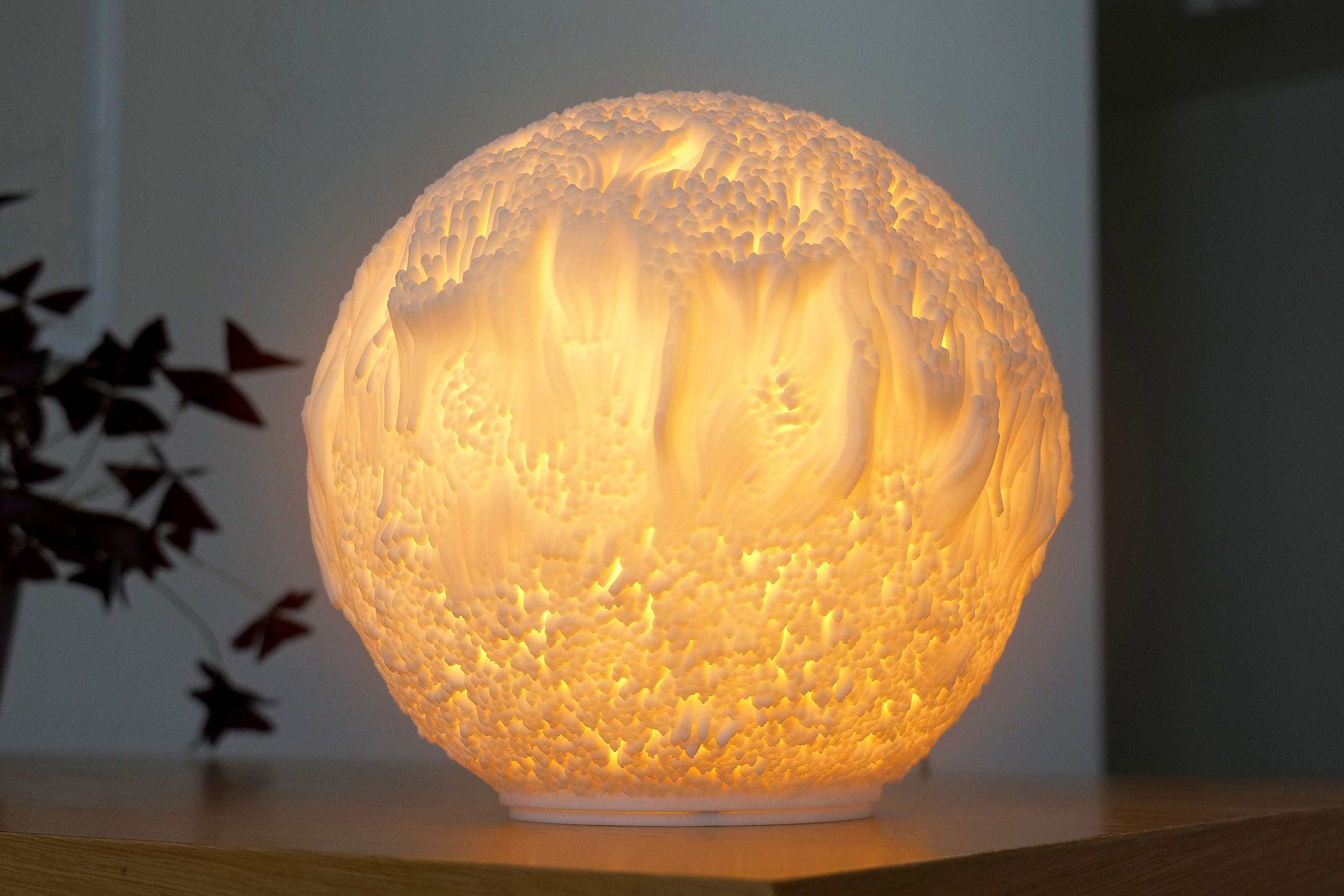 O9 Reef Sculpted Lamp